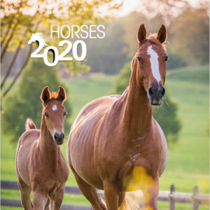 Fotokalender Paarden Met Logo Drukken