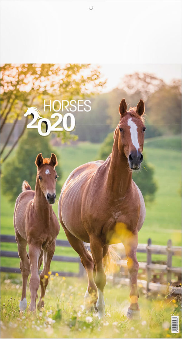 Fotokalender paarden met logo drukken