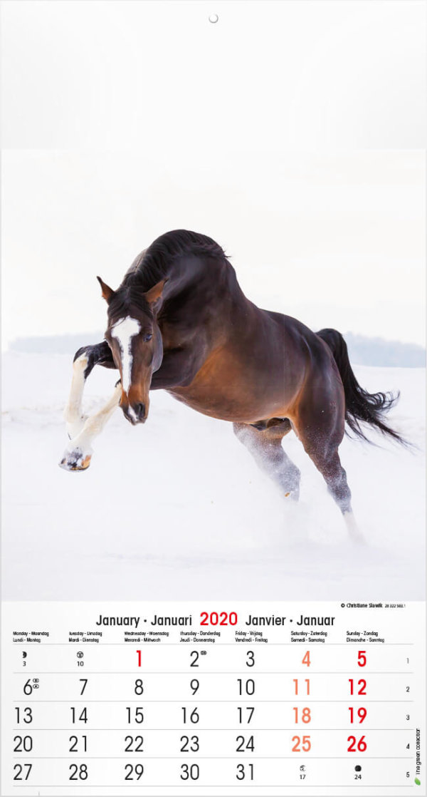 Fotokalender paarden 2023 drukken