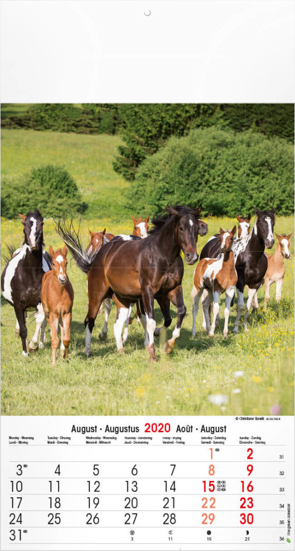 Fotokalender paarden 2023 laten drukken