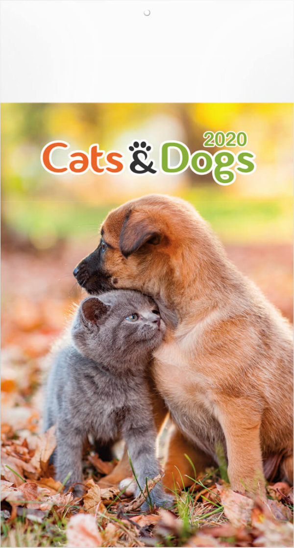 Medium fotokalender katten & honden 2023