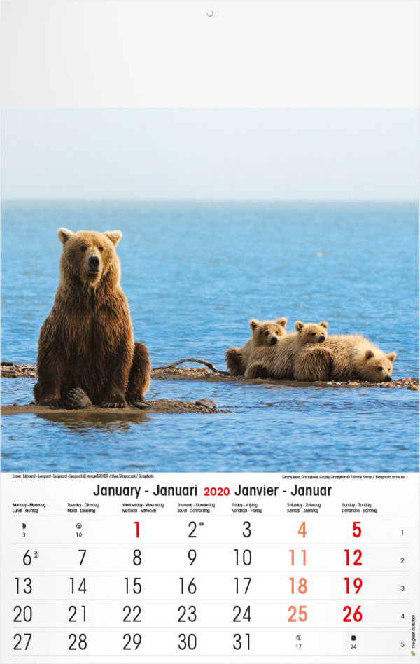 Fotokalender wilde dieren laten drukken