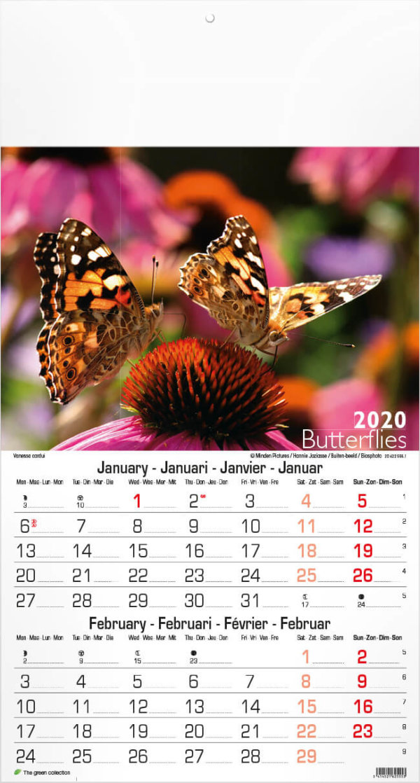 Fotokalender vlinders budget drukken