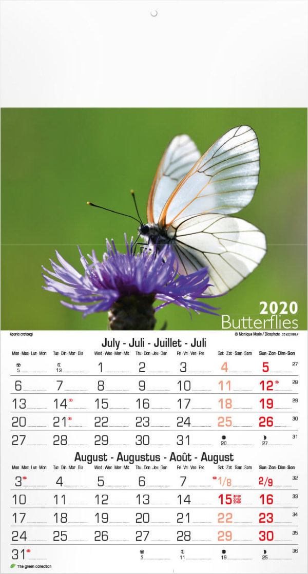 Fotokalender vlinders budget 2023