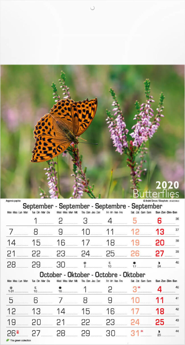 Budget fotokalender vlinders met logo