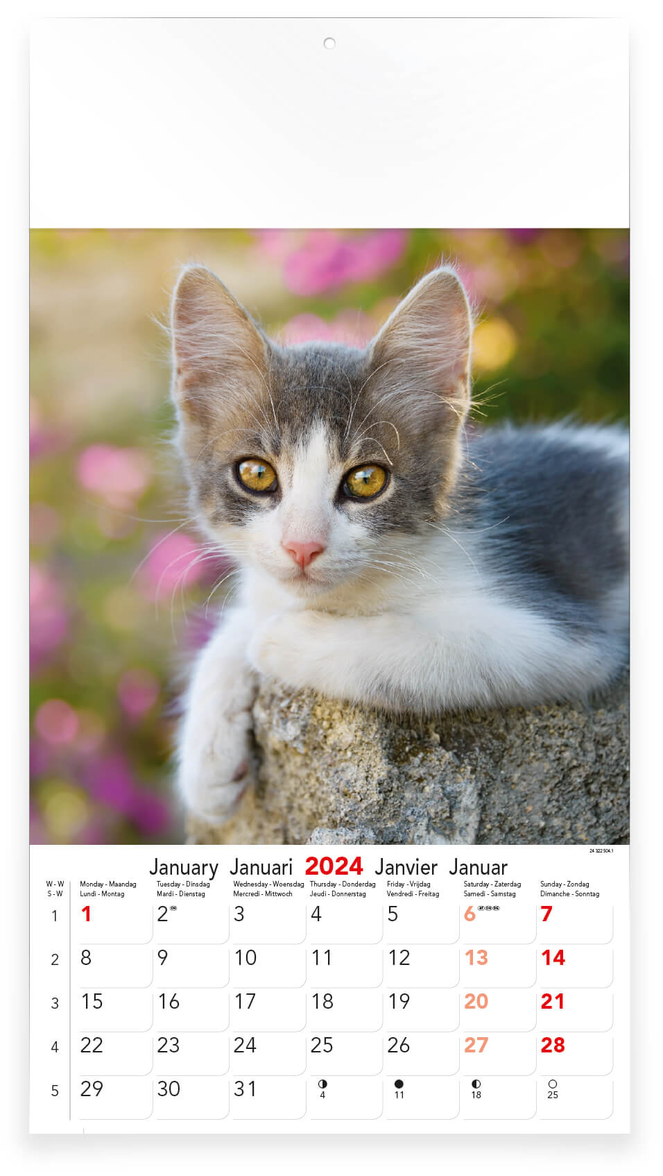Fotokalender Medium Katten & Honden