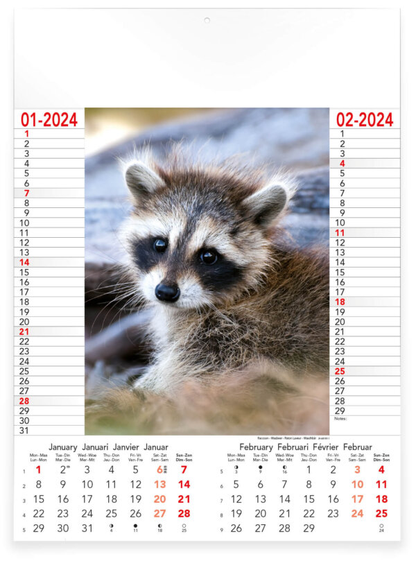 Wild&Free 630 6 bl 30x41cm dieren foto kalender 2024 (9)