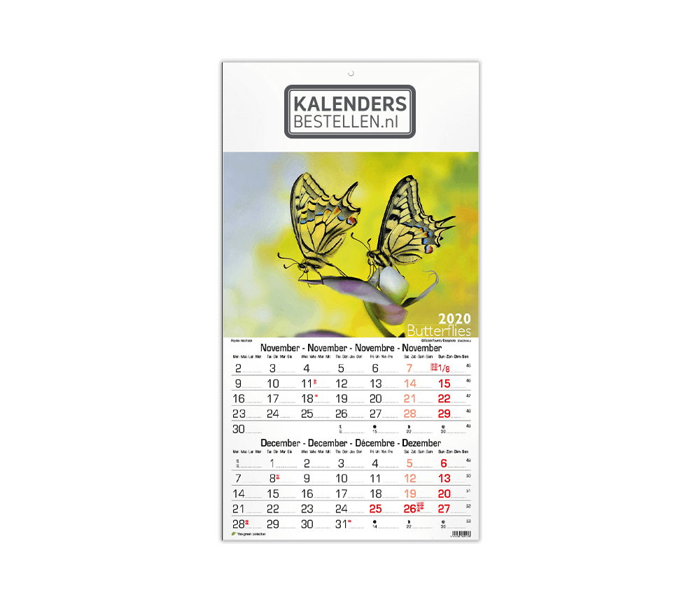 Fotokalender Budget 6-Bladig Vlinders