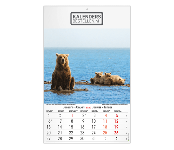 Fotokalender budget wildlife 2023