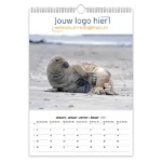 fotokalenders a3 wildlife zeehond bedrukken met eigen logo of ontwerp